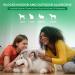 NasalGuard Cool Menthol 10g: Pet Lovers Allergy Relief Gel - Drug-Free, Made in USA - Buy Online on GoSupps.com