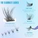Buy Short Lash Clusters | Wispy C Curl Eyelash Extensions 10-12MM | Natural Looking Cluster Lashes by Geeneiya (154PCS - Buy Online on GoSupps.com