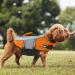 Alagirls Adjustable Dog Life Jacket - Reflective Rescue Handle XL (70-80cm) - Perfect for Pool & Beach Adventures - Buy Online on GoSupps.com