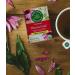 Traditional Medicinals Organic Throat Coat Lemon Echinacea Herbal Tea - 32 Tea Bags - Buy Online on GoSupps.com