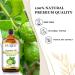 EUQEE Bergamot Essential Oil 118ml Pure Bergamot Oil Aromatherapy Oil Diffuser Oil Natural Essential Oils for Diffusers for Home Humidifier Relax Bergamot 118 ml (Pack of 1) - Buy Online on GoSupps.com