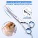 Buy Gimars 7.0 Stainless Steel Safety Scissors - 6-in-1 Professional Pet Care Scissors for Dogs & Cats - Durable Titanium-Coated with Round Tip - Buy Online on GoSupps.com