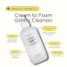 Pacifica Beauty Coconut Whip Cream to Foam Cleanser - Vegan Facial Cleanser with Vitamin E & Squalane - Hydrating & Purifying Skincare 8 fl oz - Buy Online on GoSupps.com