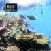 General Tools AQ150 In and Out Aquarium Thermometer - Waterproof Probe - Buy Online on GoSupps.com