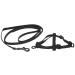 Nobby set nylon ferrets/rats black