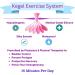 Kegel Weight Exercise System for Women - Premium 6-Piece Pelvic Floor Trainer Set for Postpartum Recovery Bladder Control & Prolapse Prevention - Buy Online on GoSupps.com