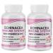 Arymar Echinacea with Vitamin C and Zinc Daily Wellness 60 Capsules (2 Pack)