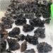 Natural Rough Smoky Quartz Crystal Cluster Specime Beautiful Crystal Cluster (Size : 1pc 760G-850G) - Buy Online on GoSupps.com