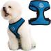 Gooby Soft Mesh Dog Harness - All Weather Mesh Head-in Small Dog Harness with D Ring Leash - Perfect on The Go Breathable Dog Harness for Medium Dogs No Pull and Small Dogs for Indoor and Outdoor Use Small chest (11.7515.5") Sea Blue