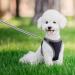 Small Puppy Dog Harness Set | Super Light No Pull Design | All Weather Comfort | Reflective | Black XXS Size - Buy Online on GoSupps.com