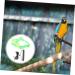 Beavorty 2 Sets Bird Leash Lizard Leash Pet Bird Harness and Leash Chicken Harness for Birds Parrot Bird 12X6X1.3CMx2pcs Greenx2pcs - Buy Online on GoSupps.com