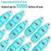 Blue Daviky Monthly Pill Organizer - 2 Times a Day | Convenient Medication Management - Buy Online on GoSupps.com