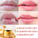 1PCS Bee Balm Lip Balm Honey Pot Honey Sleeping Lip Mask Bee Balm with Applicator Natural Moisturizing & Prevention Dry and Cracked Lip Scrubs Exfoliator - Buy Online on GoSupps.com