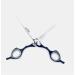 Hair Scissors Elite Cuts 6.5 Inch Japanese J2 Black-Stainless Steel 420C - Buy Online on GoSupps.com