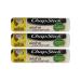 Chapstick Aloha Coconut Tropical Paradise .15 Oz Lip Balm 3 Pack