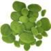 Artificial Moss Rocks Decor Set - 30 PCS, 3 Sizes | Green Moss Balls, Stones & Decor for Floral Arrangements & Fairy Gardens - Buy Online on GoSupps.com
