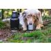 Buy Milu 950ml Dog Drinking Bottle with Food Bowl | Insulated Stainless Steel - Perfect for Hiking Traveling & Walking (Custom Engraving Available) - Buy Online on GoSupps.com