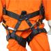 Half Body Climbing Harness for Arborists - Safety and Comfort Combined - Buy Online on GoSupps.com