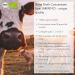 Organic Beef Bone Broth Concentrate (440g) - Grass-fed & Dairy Free | JARMINO - Buy Online on GoSupps.com