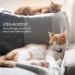 Soft Pink AirTag Cat Collar - GPS Tracking Neck Band for Young Cats with Bracket & Bell | International Shipping - Buy Online on GoSupps.com