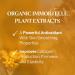 L'OCCITANE Immortelle Divine Cream 50 ml | Vegan & 93% Readily Biodegradable | Natural Alternative to Retinol | Luxury & Clean Beauty Anti-Ageing Moisturizer For All Skin Types - Buy Online on GoSupps.com