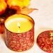 Pumpkin Cinnamon Scented Soy Wax Fall Holiday Candles - Long Burning & Perfect Gifts - Buy Online on GoSupps.com