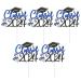 PRETYZOOM 5 Sets Cake Insert Top Hat 2024 Graduation Grad Party Supplies Graduate Paper Cup