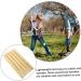 Buy OHPHCALL 5ST Wooden Handle for Agricultural Tools | High-Performance Beech Garden Tools | International Shipping Available - Buy Online on GoSupps.com