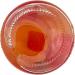 Multi-fruits confits dans la gel de moutarde (Mostarda de Cremone) Sperlari 380 g - Buy Online on GoSupps.com