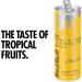 Red Bull Energy Drink 473ml x 12 & Energy Drink Tropical Edition 250ml x 12 + Energy Drink - Buy Online on GoSupps.com