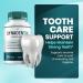 Indelo Synadentix Dental Support Capsules Syna Dentix Supplement with Oral Formula Dental Health Reviews (2 Pack - 120 Capsules) - Buy Online on GoSupps.com