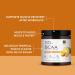 Buy Dr. Mercola Pure Power BCAA + Beta-Alanine - Tropical Punch 30 Servings 6g BCAA 2g Beta-Alanine Sugar-Free Non-GMO - International Shipping Available - Buy Online on GoSupps.com
