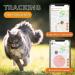 Weeneect XS Mini GPS Tracker for Cats | Real-Time GPS Tracking | Smallest Model | Unlimited Distance | Collar Included | 2023 - Buy Online on GoSupps.com