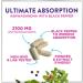 Ashwagandha Supplements 2100mg - Max Absorption with Black Pepper Extract Extra Strength Ashwagandha Capsules with 100% Plant Powder & Root Extract Non-GMO Bottled in USA - 60 Vegetarian Capsules 60 Count (Pack of 1) - Buy Online on GoSupps.com