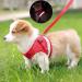 Femax Dog Harness & Linen Set - Soft Mesh Padded for Puppies & Cats | Adjustable Reflective & Breathable - Perfect for Walking Running & Training (35-40 cm Red) - Buy Online on GoSupps.com