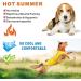 Shop MOSUCOURL Dog Cooling Vest | Summer Breathable Jacket for Outdoor Activities - Perfect for Hiking Training & Swimming (Yellow Size S) - Buy Online on GoSupps.com