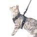 Pangdi cat dishes and leash outbreak-proof large tactical travel cat leash to walk adjustable small kitten-holster kitten emotional support service cat vest pilot gray medium