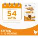 IAMS for Vitality Dry Kitten Food with Fresh Chicken 3 kg Packaging may vary Chicken 3 kg (Pack of 1) - Buy Online on GoSupps.com