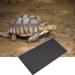 AOVNA 2 Pieces Reptile Basking Platform Tortoise Rock Plate Slate Reptile Food Dish Slate Habitat for Turtle Lizard Snake Chameleon 24 12cm - Buy Online on GoSupps.com