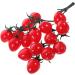 Ciieeo 2pcs String Simulated Cherry Tomatoes Fake Tomatoes Fruits Faux Cherry Tomatoes Ornament Plant Decorations Kid Toy Home Ornament Vegetable Pvc Child Red Small Tomatoes Redx2pcs 18X16CMx2pcs - Buy Online on GoSupps.com