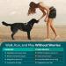 Dog Knee Brace - with 10 Support Sticks Dog Back Leg Brace - Comfortable Hip and Leg Protector Breathable for Small Senior and Disabled Dogs - Buy Online on GoSupps.com