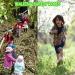 Children Walking Rope Kids Safety Walking Rope with Colorful Handles Preschool Daycare School Kids Outdoor Colorful Handles 370 CM to Up to 12 Children 2 Teachers Durable Nylon - Buy Online on GoSupps.com