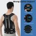 Posture Corrector Back Support Brace - Adjustable Neck & Shoulder Support for Men & Women - XL Lumbar Straightener Straps for Better Posture - Buy Online on GoSupps.com
