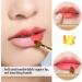  2 Pack Lip Brush for Lipstick Skycase Retractable Lip Brushes Concealer Makeup Dual End Makeup Brush for Lipstick Lip Gloss with Lid Travel Size Red/Black Red+Black - Buy Online on GoSupps.com