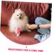 DECHOUS 18 Rolls Sports Wrap Adhesive Tape - Medical Athletic & Dog Self-Adhesive Non-Woven Muscle Tape | Cohesive & Decorative Bandages for Maximum Support - Buy Online on GoSupps.com