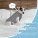Cozy Winter Dog Sweater - Knitted Turtleneck for Small & Medium Dogs & Cats | Warm Gray Pet Pullover - Buy Online on GoSupps.com