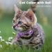 Buy Reflective Airtag Cat Collar with Holder & Bell - Safe Adjustable Design for Kittens & Puppies (Purple) | International Shipping Available - Buy Online on GoSupps.com