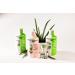 Whole Leaf Aloe Vera Juice - Highest Acemannan Concentration Guaranteed, Water-Free for Maximum Purity - Buy Online on GoSupps.com