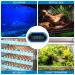Jooheli Aquarium Thermometer - High Precision LED Digital Temperature Gauge for Freshwater & Marine Aquariums | Accurate Cold Water Measurement - Buy Online on GoSupps.com
