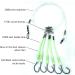 Deep Drop Fishing Rig with 5 Demon Circle 6/0 Hooks and Glow Sleeve - Snapper Rig - Buy Online on GoSupps.com